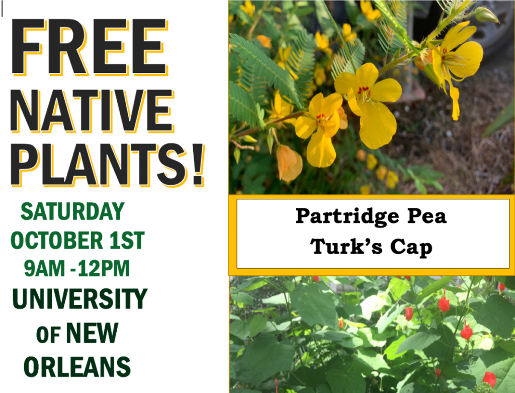 Native Plant Giveaway! University of New Orleans Native Plant